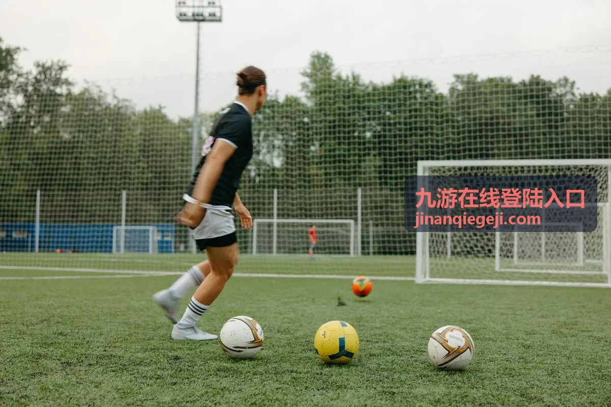 九游在线登陆入口账号安全核对示意图